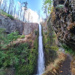 Eagle Creek + PCT Loop