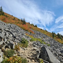 Bandera Peak – NB FKT