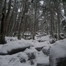 The Grid: Tom, Willey, Field