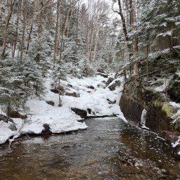 SSW46: Donaldson, Emmons, Seward, Seymour