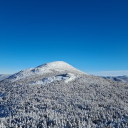 SSW46: Iroquois, Marshall, Cliff, Redfield