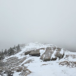 SSW46: Cascade & Porter