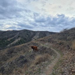 Arizona Trail, south, day 2