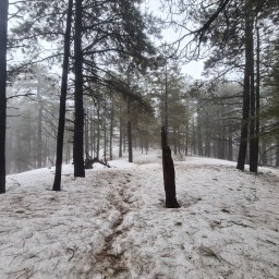 Arizona Trail, south, day 5