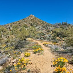 Arizona Trail, south, day 10