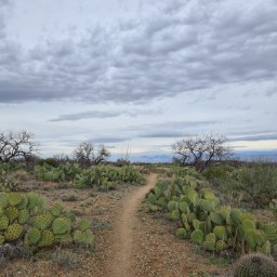 Arizona Trail, south, day 4