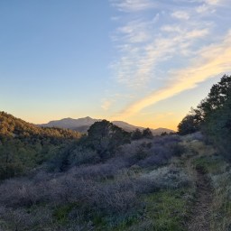 Arizona Trail, south, day 12