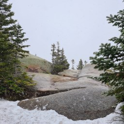 Grid: Whiteface and Passaconaway