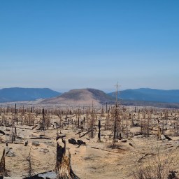 Day 7, Oregon PCT 2023
