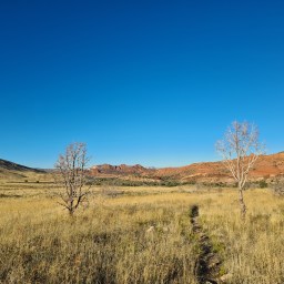 Arizona Trail, north, day 1