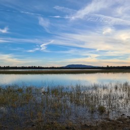 Arizona Trail, north, day 8