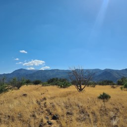 Arizona Trail, north, day 12