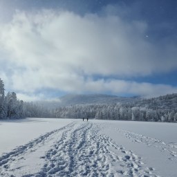 Kinsmans & Cannon – Jan