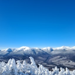 Cats/Carters – Jan