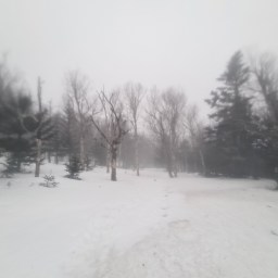 Isolation attempt – Apr