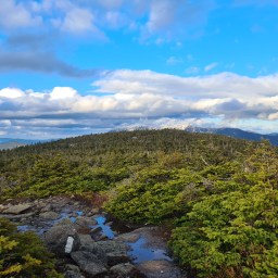 Kinsmans, Cannon – Apr