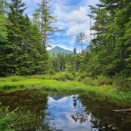 Owl’s Head – July