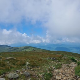 Moosilauke – July