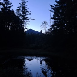 Owls head – August