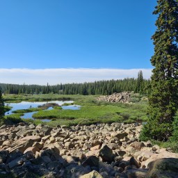 Colorado Trail Day 6
