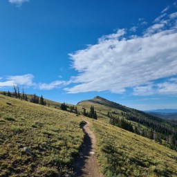 Colorado Trail Day 10