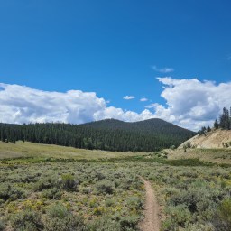 Colorado Trail Day 11