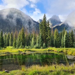 Colorado Trail Day 14