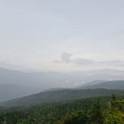 WTF, Jackson – August