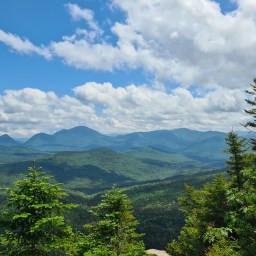 WTF, Zealand – June