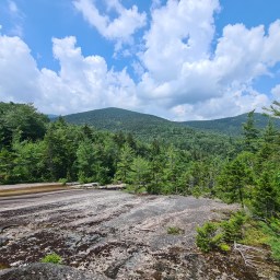 Gridding WhitePass – July