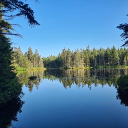 Gridding Cabot – August