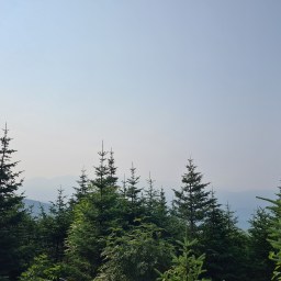 Gridding Waumbek – August