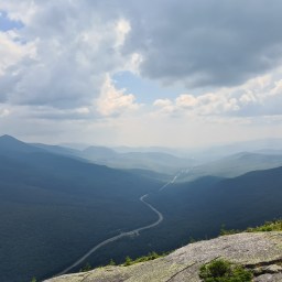 Gridding Cannon – Aug