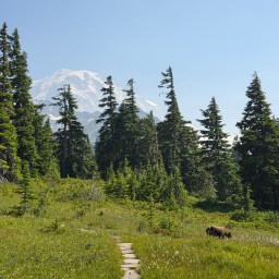 Wonderland Trail Day 4