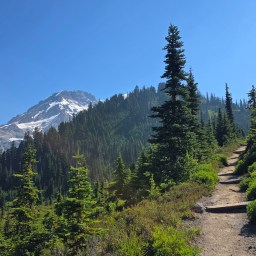 Wonderland Trail Day 6